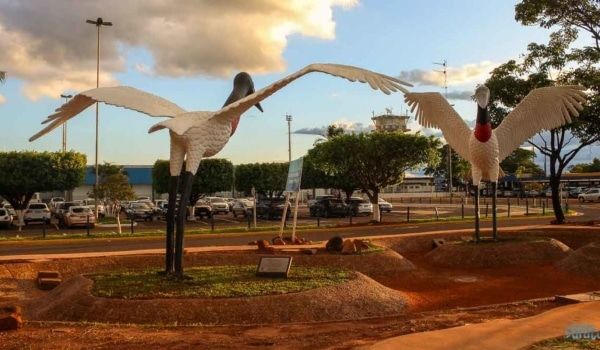 Aposentadoria do Médico em Campo Grande