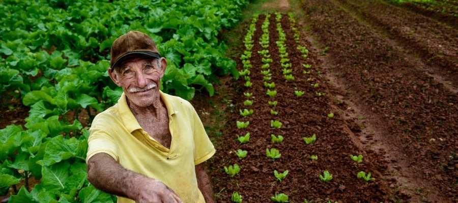 Aposentadoria rural em 2024