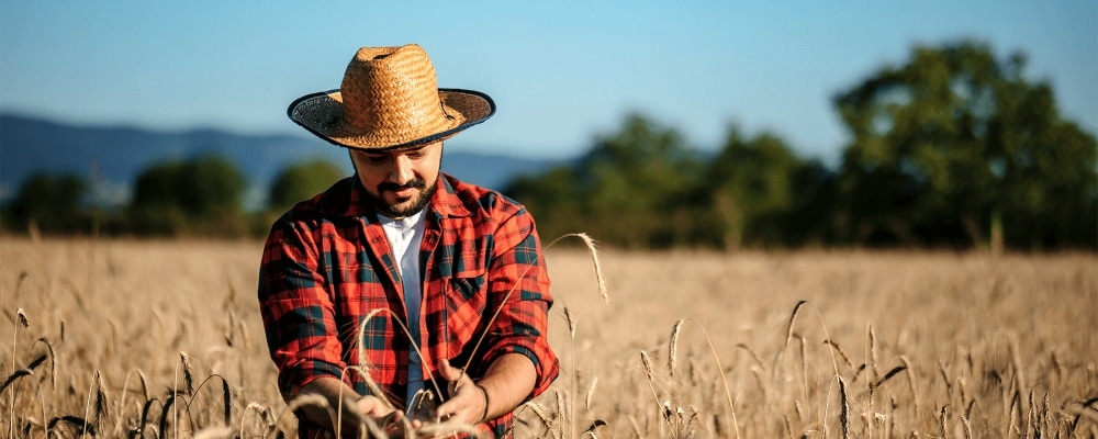 Aposentadoria Rural em 2024