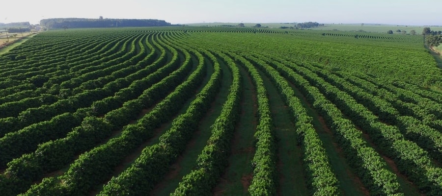 Aposentadoria Rural em 2024