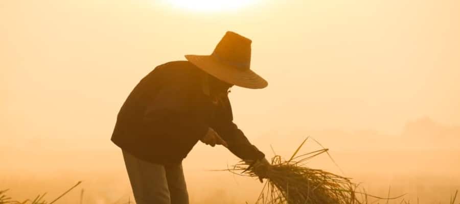 Aposentadoria rural em 2024