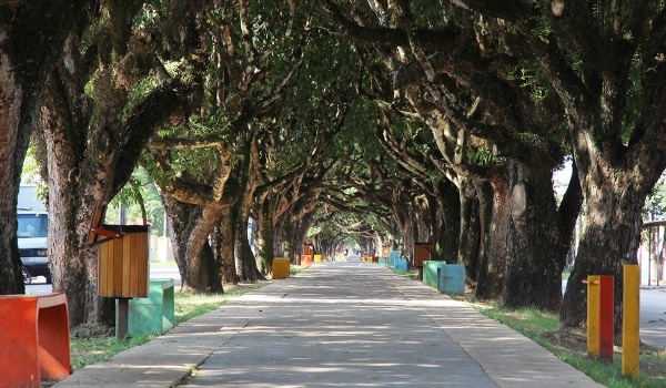 Auxílio-acidente em Itacoatiara