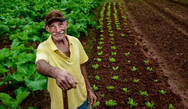 Aposentadoria produtor rural 2024